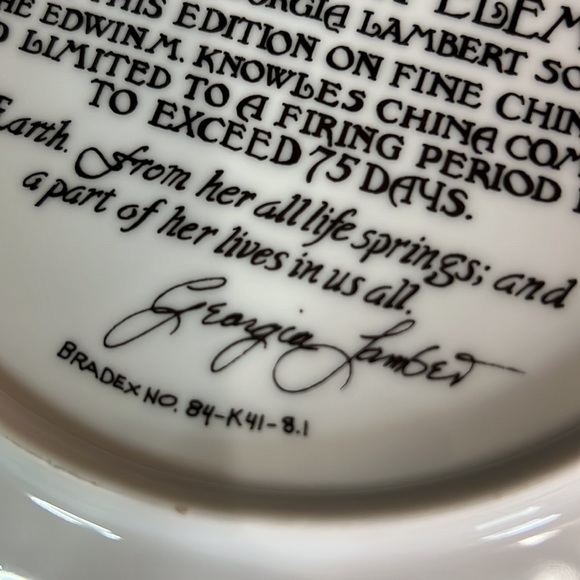 KNOWLES, authentic collectors plate Limited Edition, plate# A7369, Earth !! - Picture 7 of 11